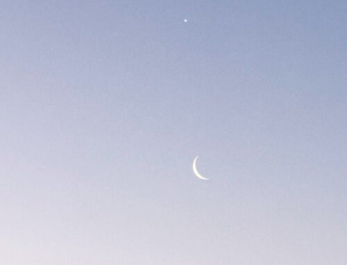 Warum für Neuanfang der Neumond wichtiger ist als der Vollmond