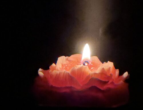 Dynamischer Start im Januar 2026