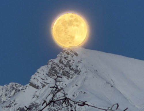 Finsternisse und was sie im Kollektiv bewegen